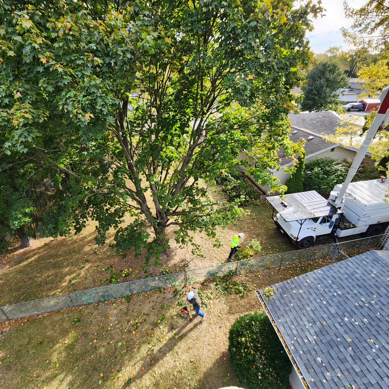 Tree service crew working safely in a bucket truck